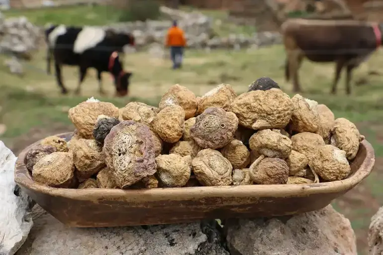 Urogun a cosa serve Urogun a cosa serve