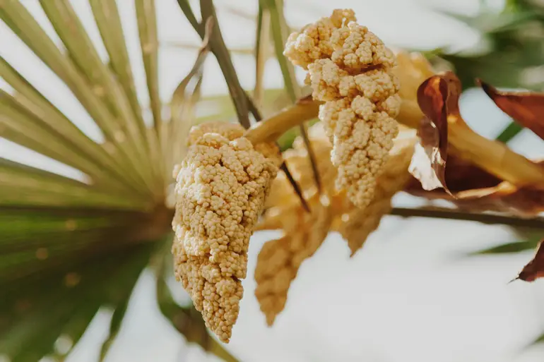 Urogun composizione Urogun composizione